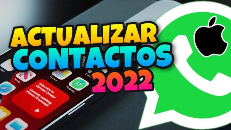 ¡Actualiza tus contactos en WhatsApp en el nuevo iPhone 11!