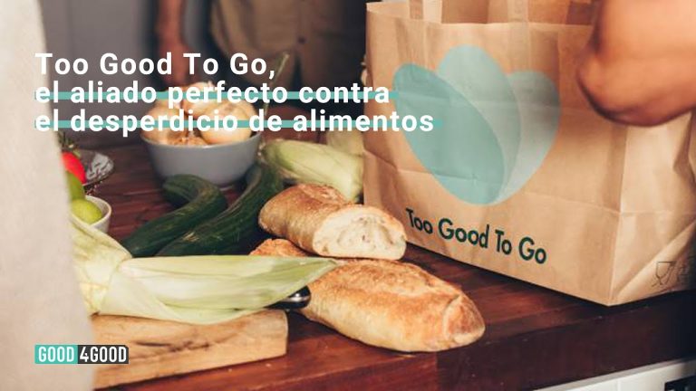 Descubre el significado de Too Good to Go, la solución perfecta para evitar el desperdicio de alimentos