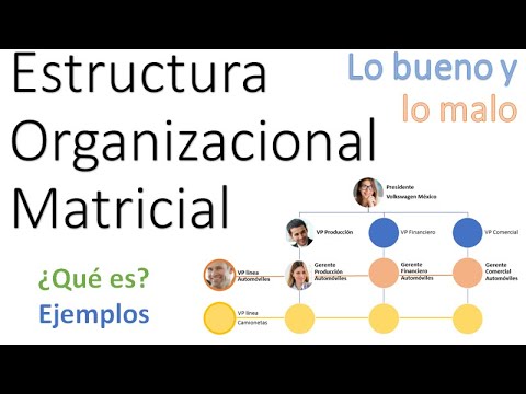 Descubre el poder del organigrama matricial: una estructura innovadora para optimizar el trabajo en equipo